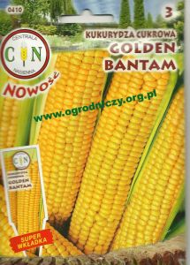 Kukurydza cukrowa Golden Bantam